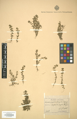 LE 01006059