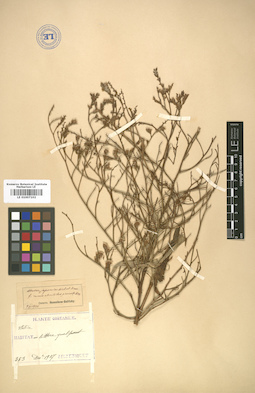 LE 01007102