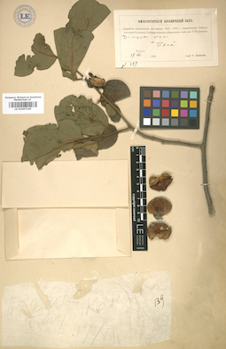 LE 01007105