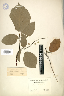 LE 01007127