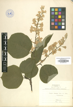 LE 01007131
