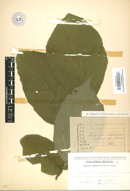 LE 01007132