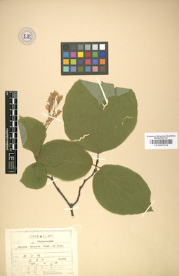 LE 01007134