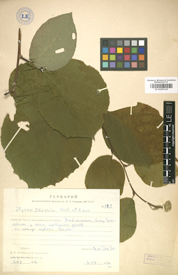 LE 01007135