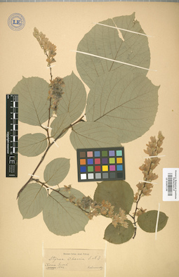 LE 01007139