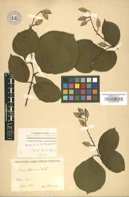 LE 01007141