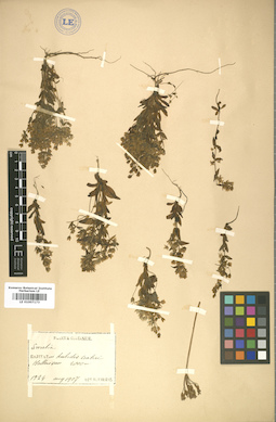 LE 01007173