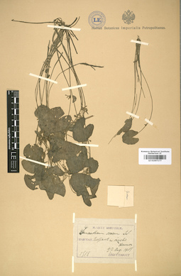 LE 01007177