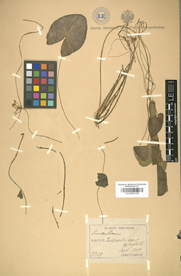 LE 01007178