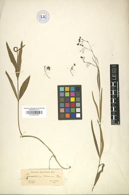LE 01007187