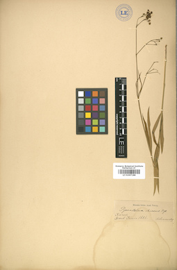 LE 01007188