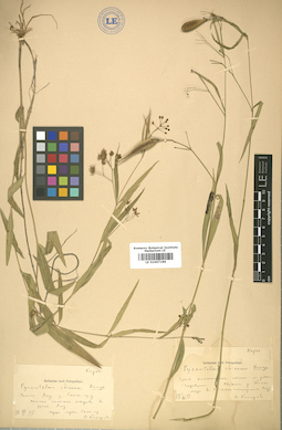 LE 01007189