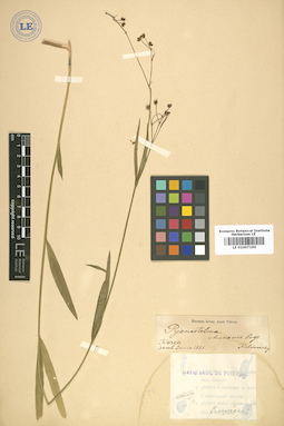 LE 01007190