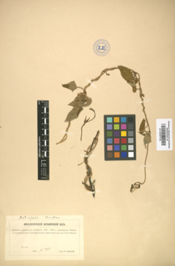 LE 01007192