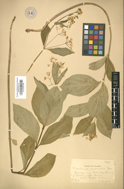 LE 01007199