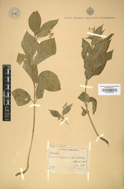 LE 01007201