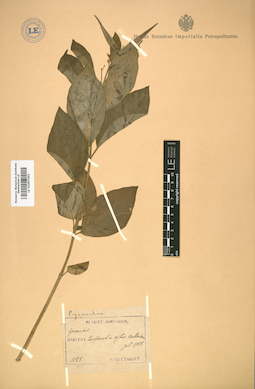 LE 01007202