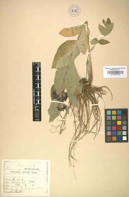 LE 01007204