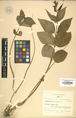 LE 01007206