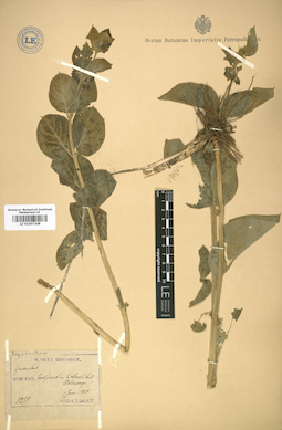 LE 01007208