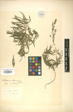LE 01007211