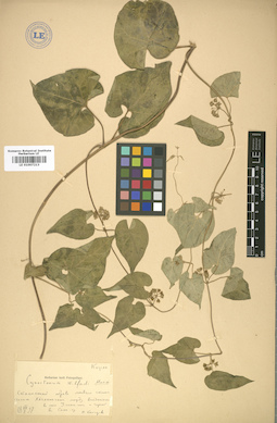 LE 01007213