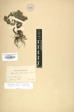LE 01007214
