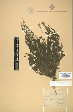 LE 01007227