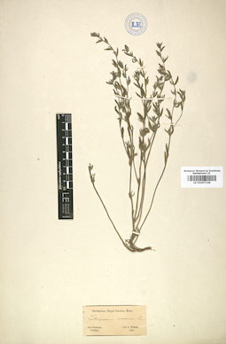 LE 01007228