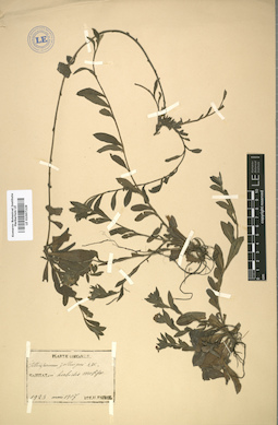 LE 01007229