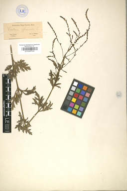 LE 01007232