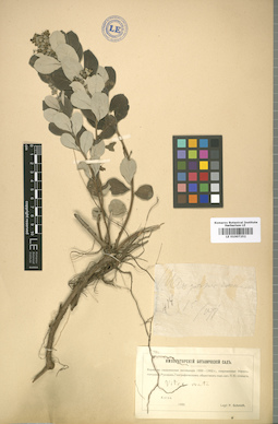 LE 01007252