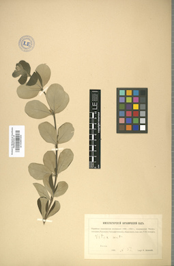 LE 01007253