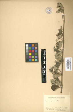 LE 01007254