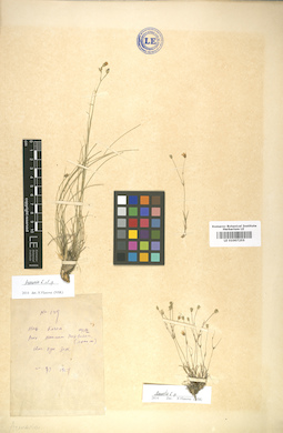 LE 01007255