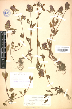LE 01007257