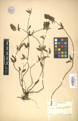 LE 01007261