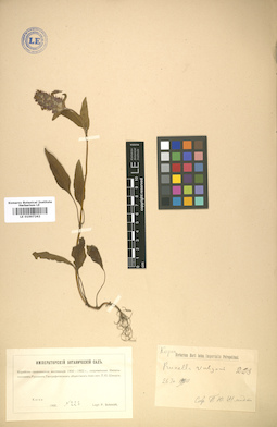 LE 01007262