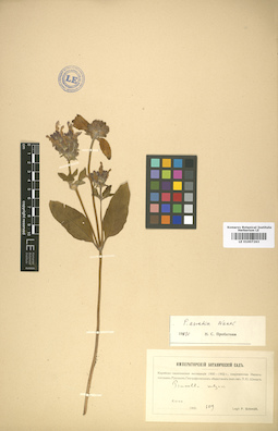 LE 01007263