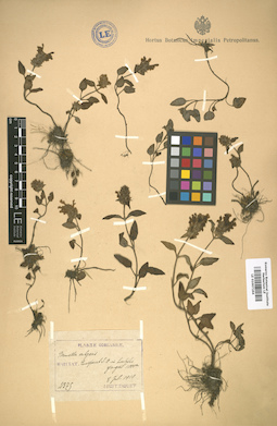 LE 01007264