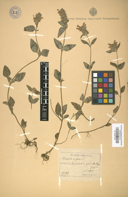 LE 01007266
