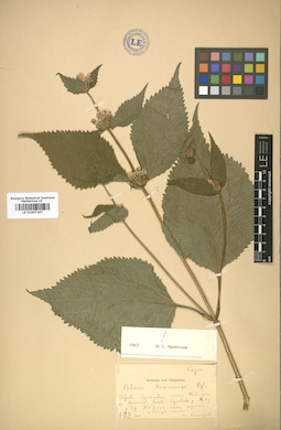 LE 01007267