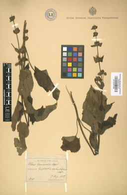 LE 01007268