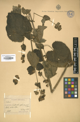 LE 01007270