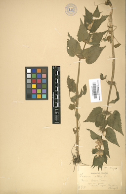 LE 01007275