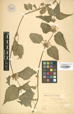 LE 01007277