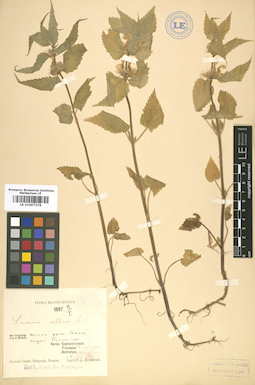 LE 01007278
