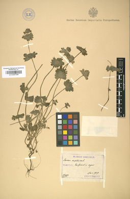 LE 01007280