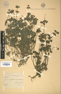 LE 01007282