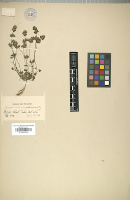LE 01007283